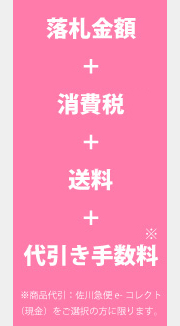 落札金額+消費税+送料500円+代引き手数料
